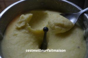 Purée au Thermomix