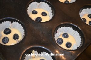 Muffins aux myrtilles (sans œufs, sans lait et sans gluten)