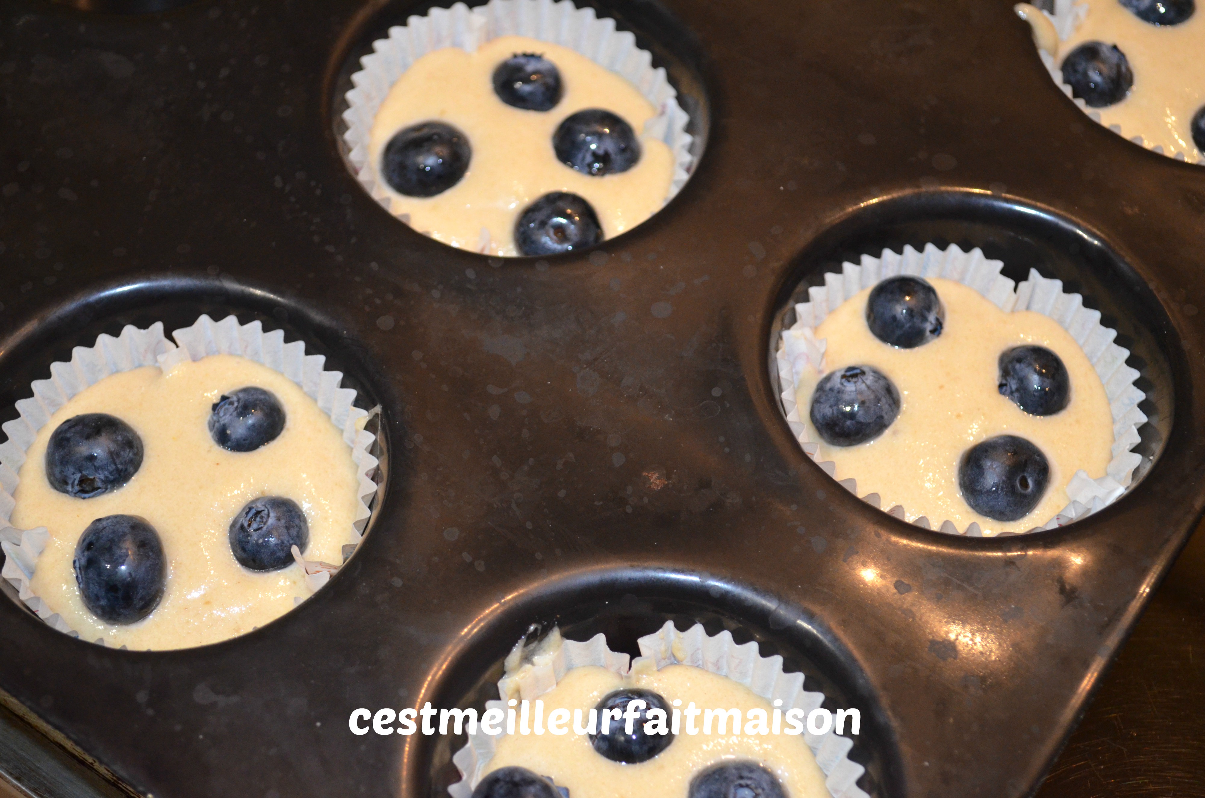Muffins aux myrtilles (sans œufs, sans lait et sans gluten)