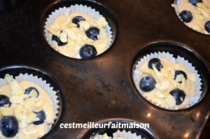 Muffins aux myrtilles (sans œufs, sans lait et sans gluten)