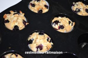 Muffins aux myrtilles (sans œufs, sans lait et sans gluten)