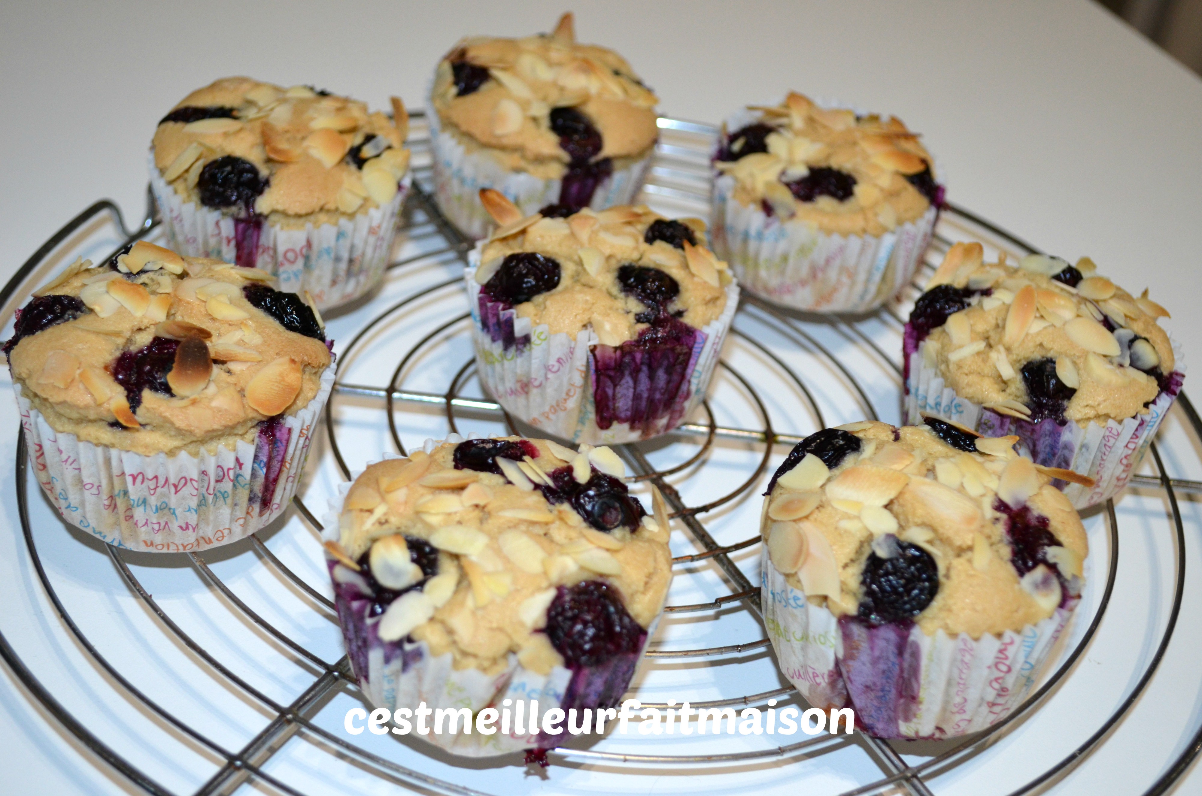 Muffins aux myrtilles (sans œufs, sans lait et sans gluten)